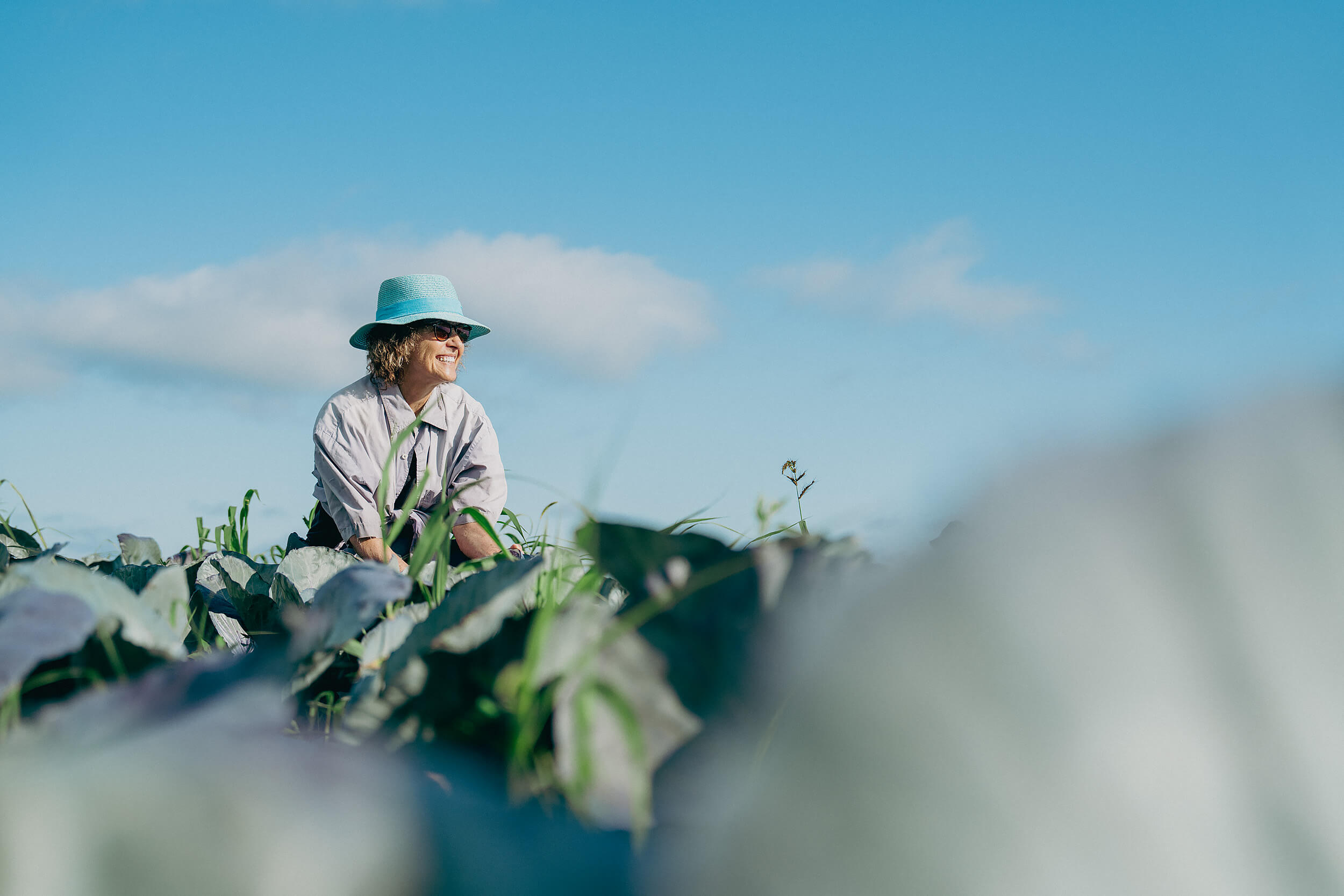 Fin de la saison locale 2024 : Quels légumes locaux