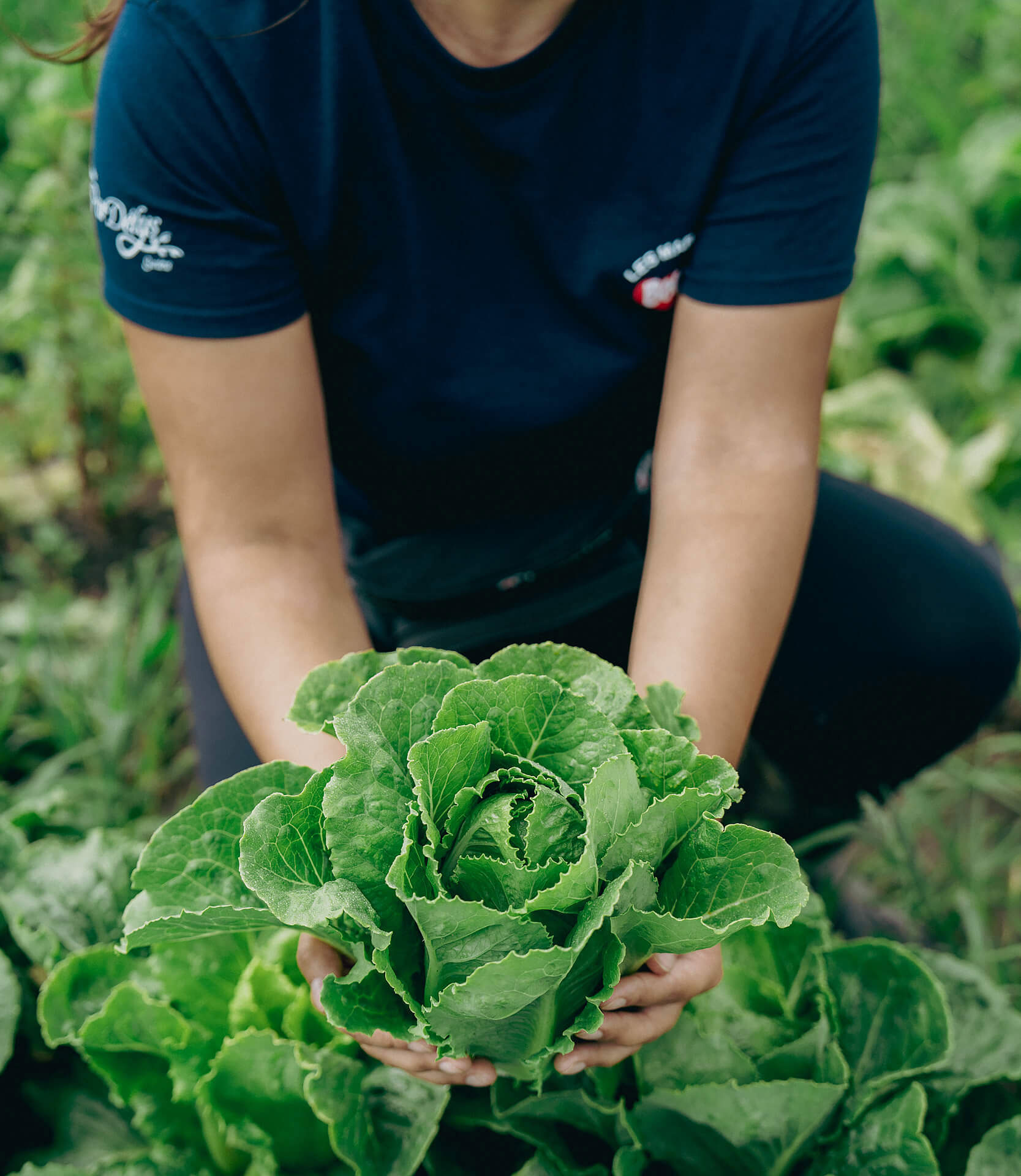 Nos valeurs sont profondément ancrées dans notre héritage familial agricole.